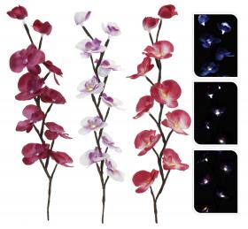 Orkide med ledlampa