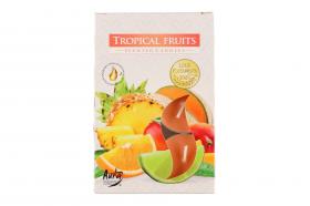 Värmeljus -Tropical Fruits