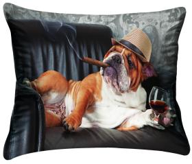 &Ouml;rngott -Bulldog