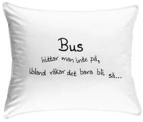 &Ouml;rngott -Bus