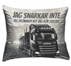 &Ouml;rngott -Dr&ouml;mmen om lastbil