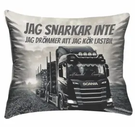 &Ouml;rngott -Dr&ouml;mmen om lastbil