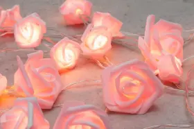 Ljusslinga - Rosa rosor