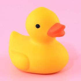 Squeeze Duck