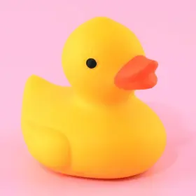 Squeeze Duck