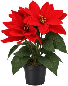 Konstgjord blomma - Julstj&auml;rna