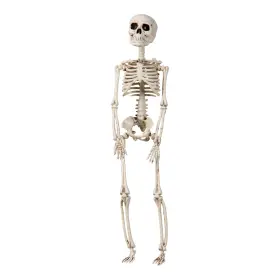 Skelett 29cm