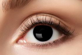 Linser Blackout