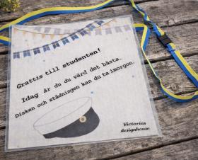 Disktrasa "Student" med band - Disken & st&auml;dningen...