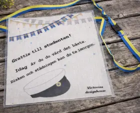 Disktrasa "Student" med band - Disken & st&auml;dningen...