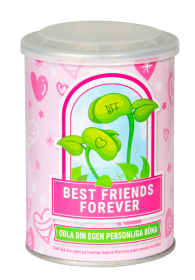 Odla din magiska b&ouml;na - BFF