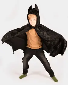 Fladdermus cape (86/110)